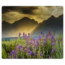 Purple Lupines In The Tetons Rugs 55016403