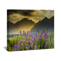 Purple Lupines In The Tetons Wall Art 55016403