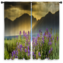 Purple Lupines In The Tetons Window Curtains 55016403