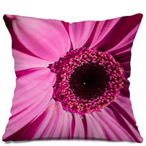 Purple Majesty Pillows 66931000