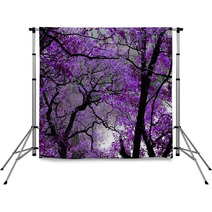 Purple Tree Leaves Forest Spring Backdrops 2756039