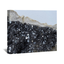 Pyrite Mineral Stone Wall Art 60616930