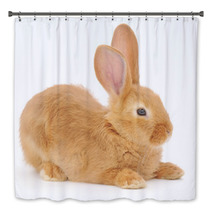 Rabbit Bath Decor 55072528