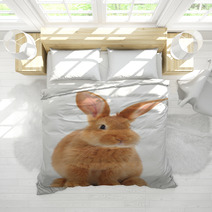 Rabbit Bedding 56523932
