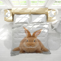 Rabbit Bedding 59061581