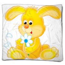 Rabbit Blankets 1898613