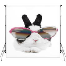 Rabbit In Sunglasses Isolated Backdrops 26106768