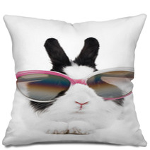 Rabbit In Sunglasses Isolated Pillows 26106768