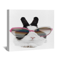 Rabbit In Sunglasses Isolated Wall Art 26106768