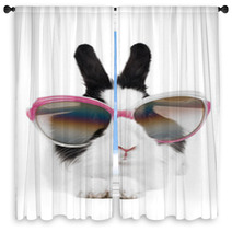 Rabbit In Sunglasses Isolated Window Curtains 26106768