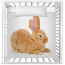 Rabbit Nursery Decor 55072528