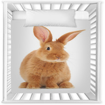 Rabbit Nursery Decor 56523932