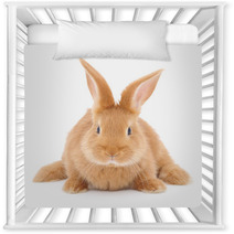 Rabbit Nursery Decor 59061581