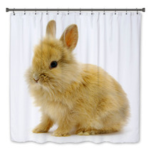 Rabbit On White Bath Decor 24292624