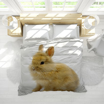 Rabbit On White Bedding 24292624