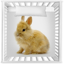 Rabbit On White Nursery Decor 24292624