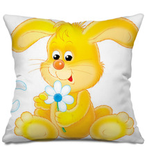 Rabbit Pillows 1898613