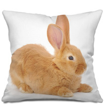 Rabbit Pillows 55072528