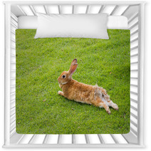 Rabbit Prostrates In Garden Nursery Decor 56137012
