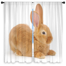 Rabbit Window Curtains 55072528