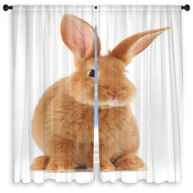 Rabbit Window Curtains 56523932