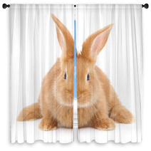 Rabbit Window Curtains 59061581