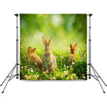 Rabbits. Art Design Of Cute Little Easter Bunnies In The Meadow Backdrops 54197141
