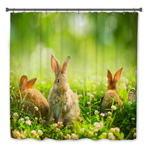 Rabbits. Art Design Of Cute Little Easter Bunnies In The Meadow Bath Decor 54197141