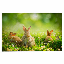 Rabbits. Art Design Of Cute Little Easter Bunnies In The Meadow Rugs 54197141