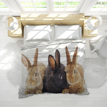 Rabbits Bedding 64088218