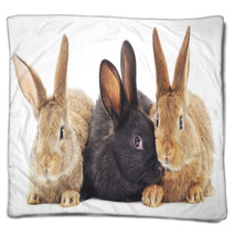 Rabbits Blankets 64088218
