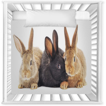 Rabbits Nursery Decor 64088218