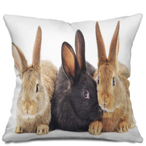 Rabbits Pillows 64088218