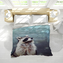 Raccoon 1 Bedding 97152999