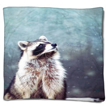 Raccoon 1 Blankets 97152999