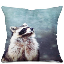 Raccoon 1 Pillows 97152999