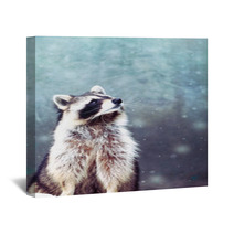 Raccoon 1 Wall Art 97152999