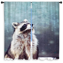 Raccoon 1 Window Curtains 97152999
