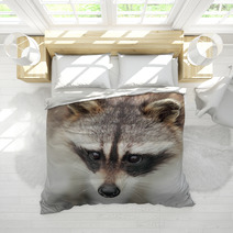 Raccoon Bedding 100378261