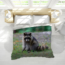 Raccoon Bedding 95910353