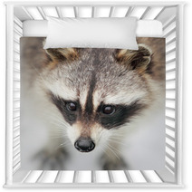 Raccoon Nursery Decor 100378261