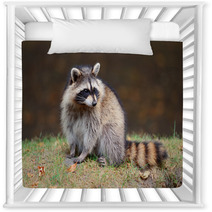 Raccoon Nursery Decor 49726042