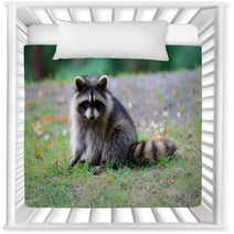 Raccoon Nursery Decor 95910353