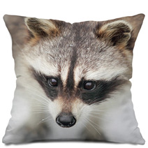 Raccoon Pillows 100378261