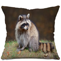 Raccoon Pillows 49726042