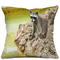 Raccoon Pillows 96626948