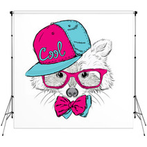 Raccoon Vector. Raccoon In A Cap And A Tie. Raccoon Clothing. Honey Raccoon . Hipster. Card With Animals. Backdrops 100184074