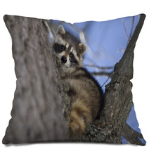 Racoon In Winter Pillows 81470653