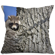 Racoon In Winter Pillows 81470716