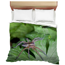 Raft Spider, Dolomedes Fimbriatus On A Green Leaf Bedding 72418463